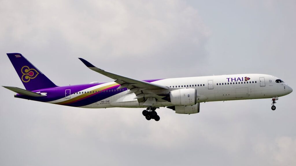 タイ航空の飛行機が空を飛ぶ